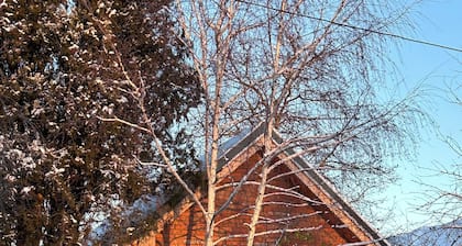 Naturally in the Gdańsk city