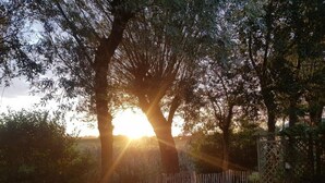 A sunset view through a wooden fence with trees in the foreground. - Pretty Holiday Home in Burgerburg (Burgerbrug)