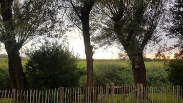 House | View from property