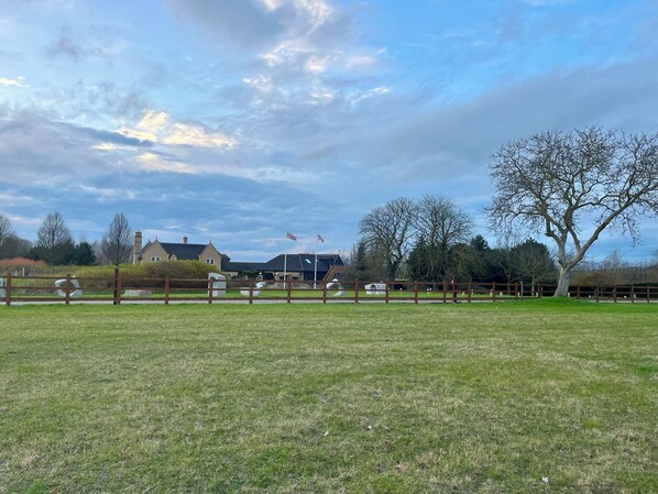 Property grounds - Peaceful place in South Cambridge nestled on a small tree farm with lake view (Sawston)