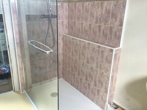 Shower, hair dryer, soap, toilet paper