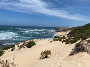 A coastal landscape with sandy dunes, sparse vegetation, and a rocky outcrop. - Beautiful, charming property for 6 to 8 people. Pool. Approx. 400m to the golf course (Port Alfred)