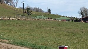 Paisaje rural con un campo cercado, una puerta de madera y un edificio verde al fondo.