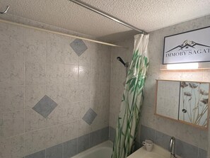 Bathroom - Studio cabin 4 pers, center, WIFI (Besse-et-Saint-Anastaise-Super Besse)
