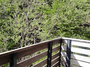 A wooden bench with metal supports, overlooking a dense green area with trees and shrubs.