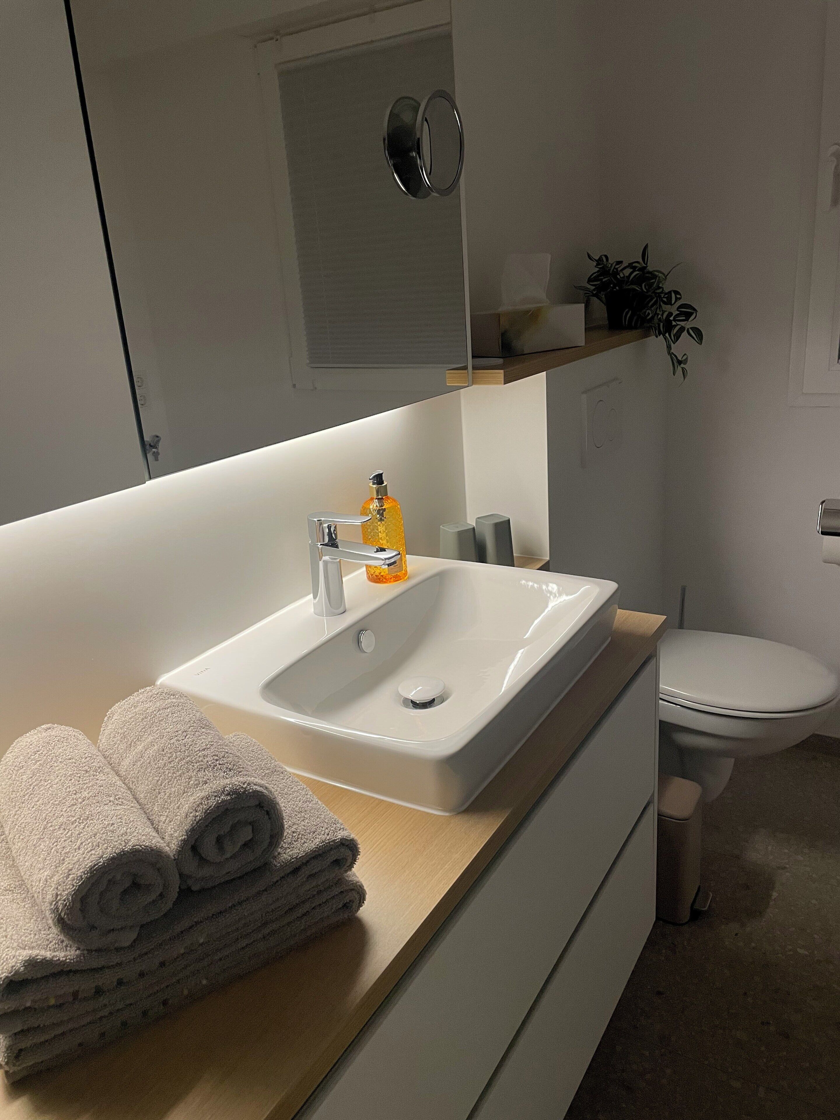 Ein modernes Badezimmer mit einem weißen Waschbecken, einer Toilette und einem Spiegel über dem Waschbecken. Handtücher liegen auf der Ablage, und eine Pflanze steht auf dem Regal.