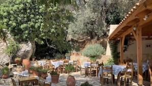 An outdoor seating area with wooden tables and chairs, surrounded by potted plants and a rocky backdrop. - Melina Dream House Retreat at Akoumia (Agios Vasileios)