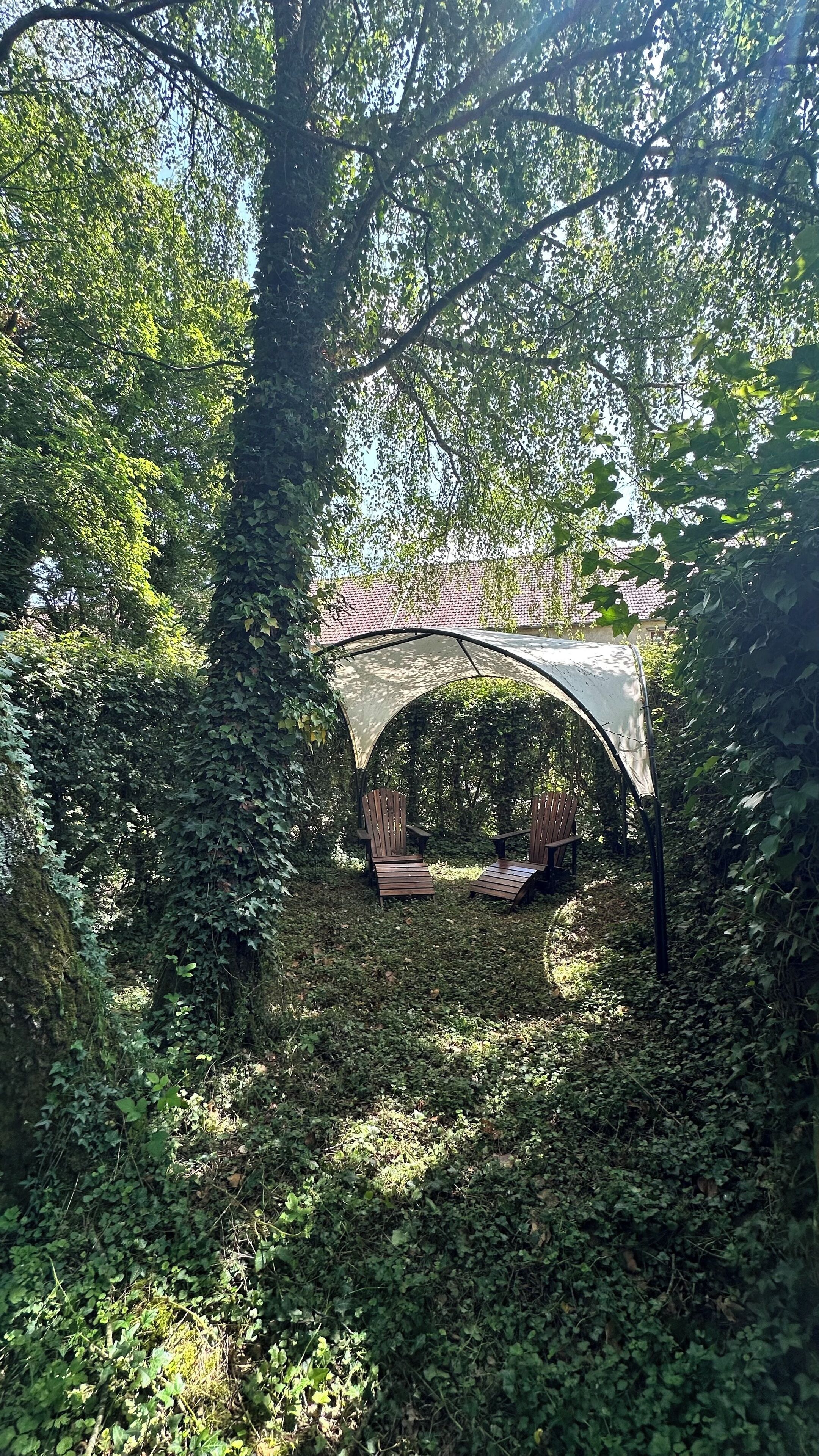 A gazebo with two wooden chairs under a white canopy, surrounded by dense greenery.