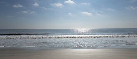 A beach with a clear sky and calm sea.