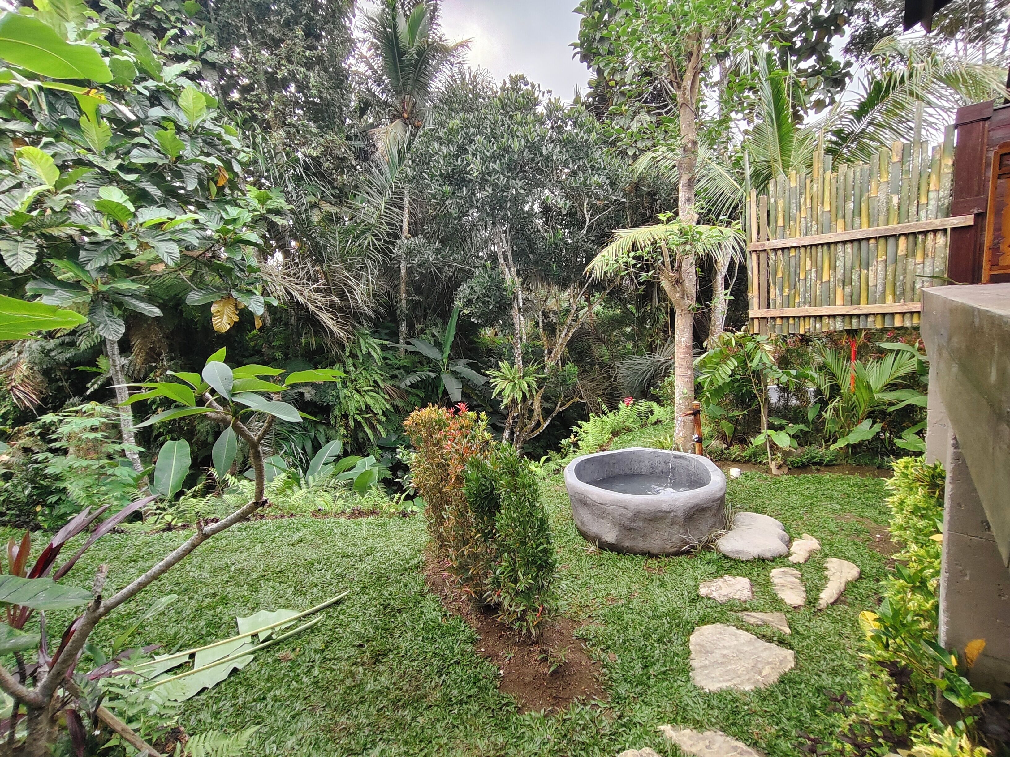 Un exuberante jardín con una pileta de piedra, diversas plantas y una cerca de bambú.