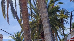 A garden with pink flowers, palm trees, and a white building. - Vacation apartment with panoramic views at Finca Gran Calma - ideal for hikers (Santa Lucía de Tirajana)