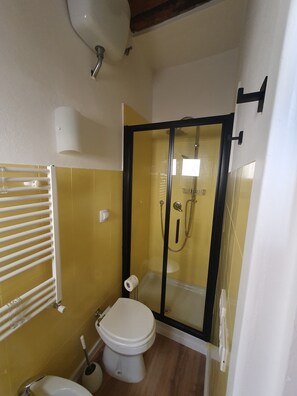 Shower, hair dryer, bidet, towels