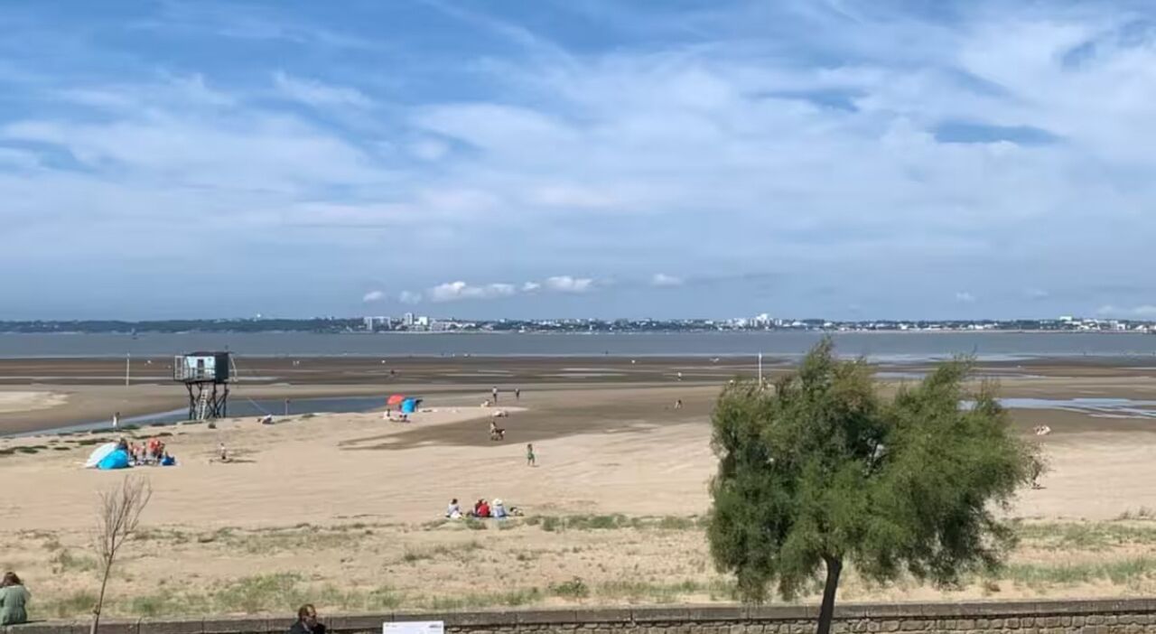 A beach with tents and people, a tree, and a distant city skyline.