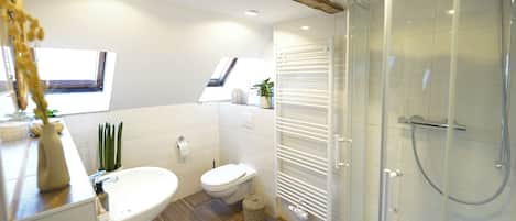 Shower, towels, toilet paper