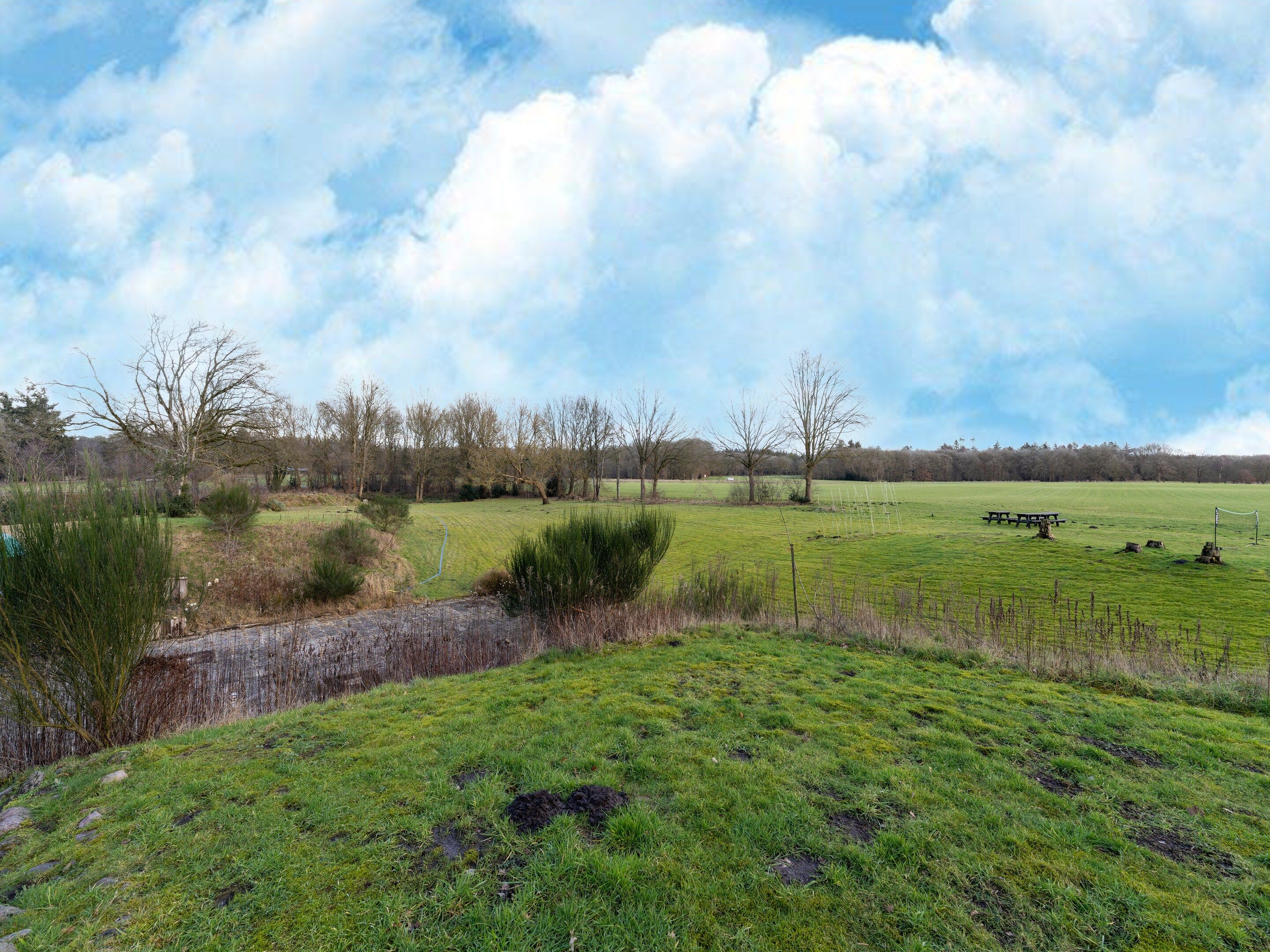 A grassy field with trees and a picnic area.