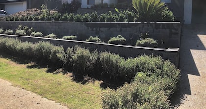 Delightful family house opposite a reserve and 20 mins to the city and beaches.