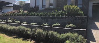 Delightful family house opposite a reserve and 20 mins to the city and beaches.