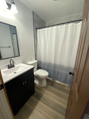 Hair dryer, towels, shampoo, toilet paper