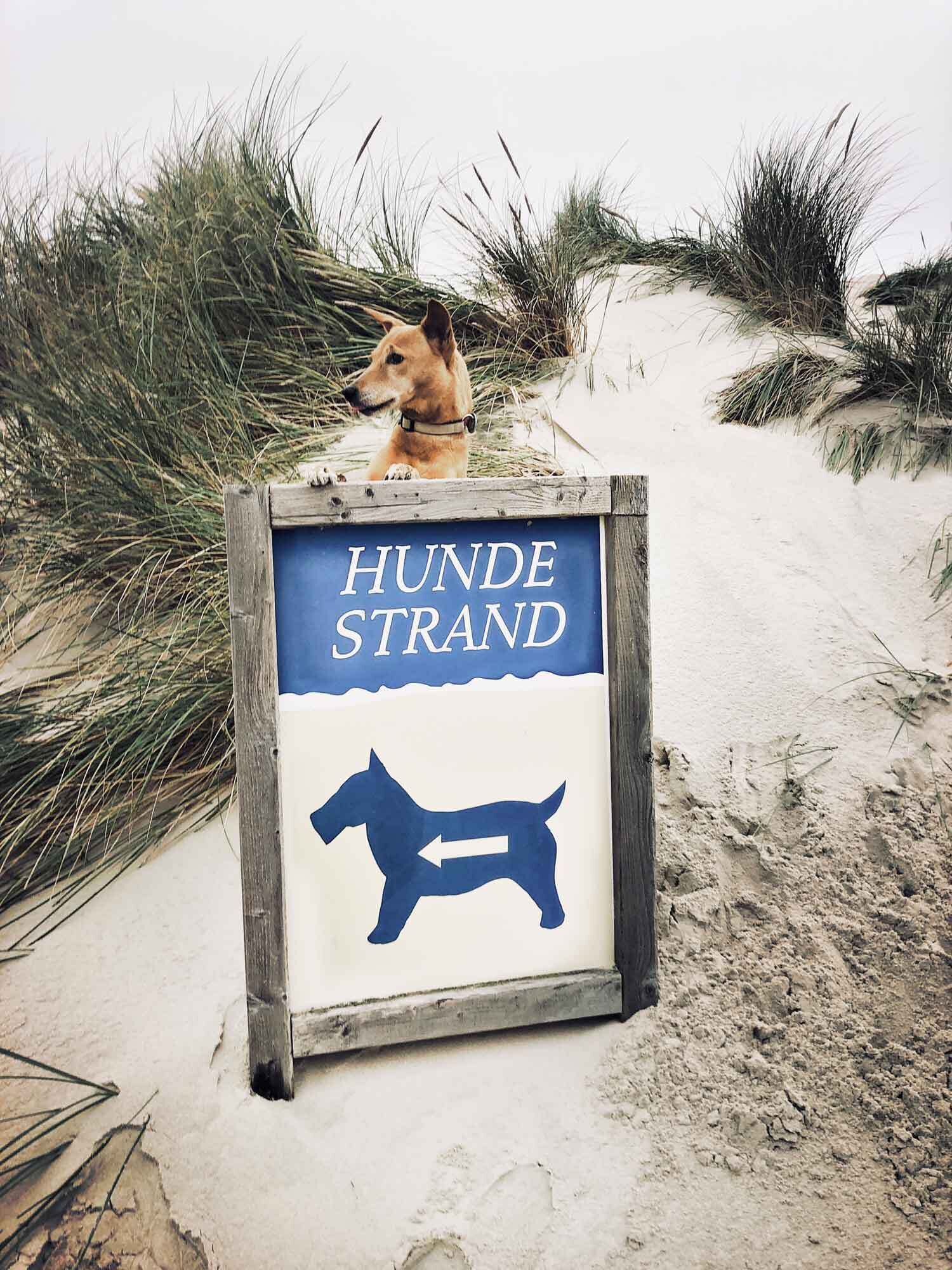 Ein Schild mit dem Schriftzug 'HUNDE STRAND' und der Silhouette eines Hundes.