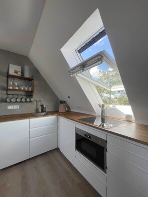 Fridge, microwave, stovetop, dishwasher