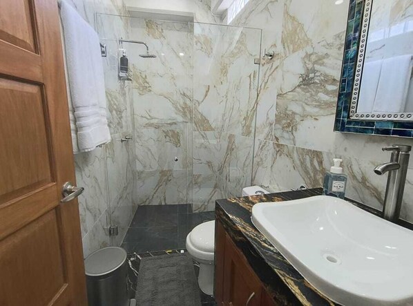 Shower, jetted tub, hair dryer, towels