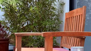 A wooden chair and table set on a balcony with a potted plant and a book titled "The Science of Being and Art of Living".