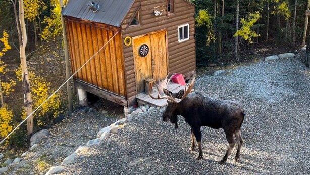 A wooden cabin with a metal roof, a small window, and a door with a circular window. - High-alpine private retreat 2-bedroom house in cozy Alma, close to Breckenridge (Alma)