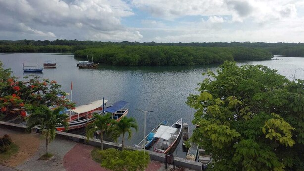 Un río con barcos amarrados a la orilla, rodeado de abundante vegetación.