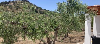 Charming Refurbished Holiday Home in Sciacca, Sicily