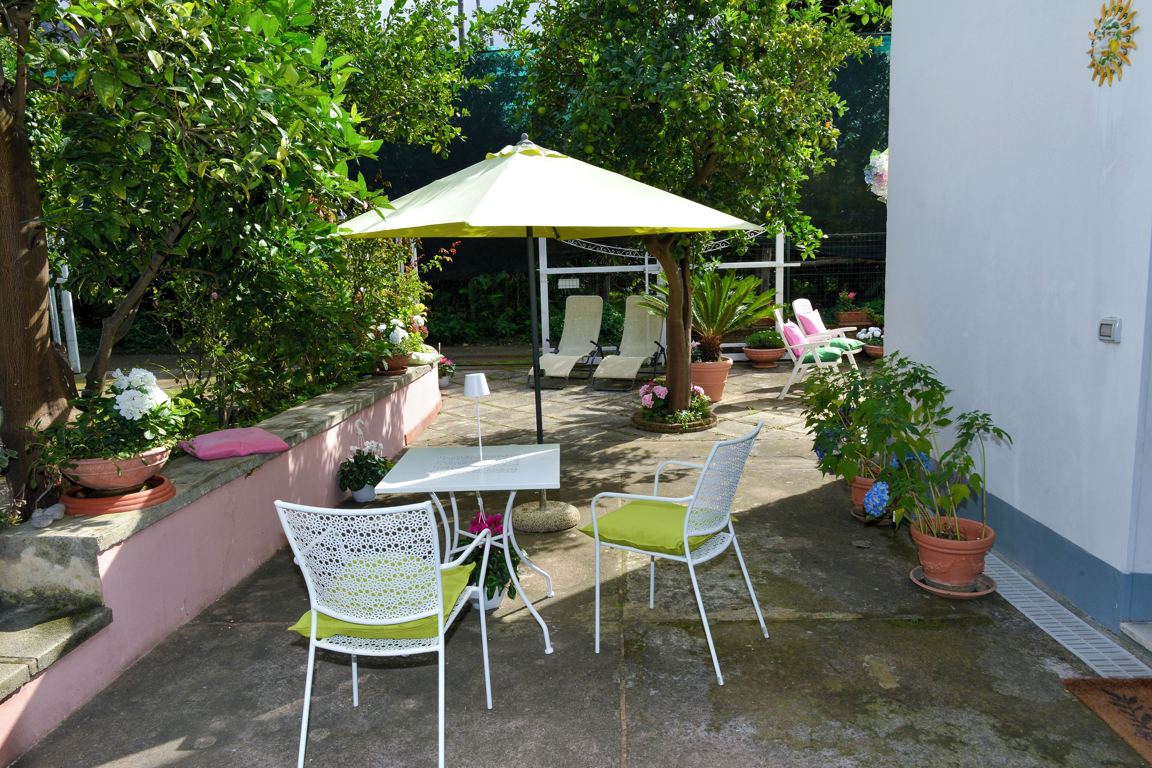 Terraza o patio