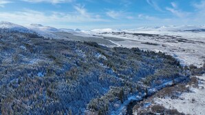 캐빈 | 기타