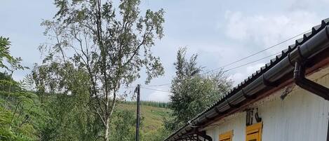 Cottage | Property grounds