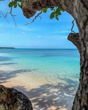 Beach - 1-BR Coastal Oasis with A/C near Beaches and Bars (La Garita)