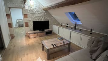 TV connectée, cheminée, lecteur de DVD, livres