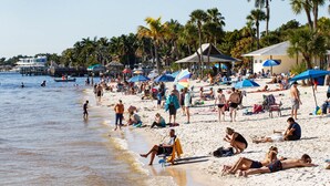 Una playa concurrida con gente tomando el sol y nadando, rodeada de palmeras y sombrillas.
