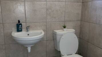 Regadera, toallas, papel de baño