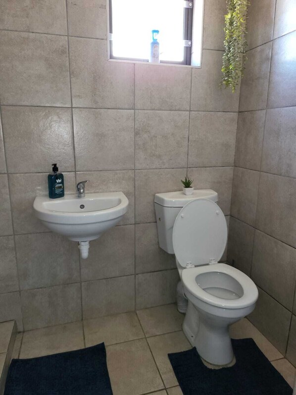 Douche, serviettes fournies, papier toilette