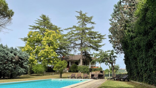 Una piscina con sillas de descanso, una zona de barbacoa techada y una casa al fondo.