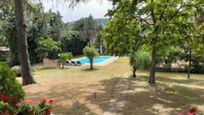 Un patio trasero con piscina, escalones de piedra y plantas en macetas.