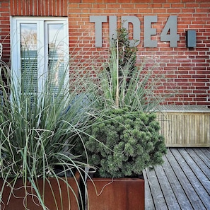 Exterior detail - TIDE4 Amrum No. 5 - Cute Tiny Loft for one person, 100m to the sea (Wittdün auf Amrum)