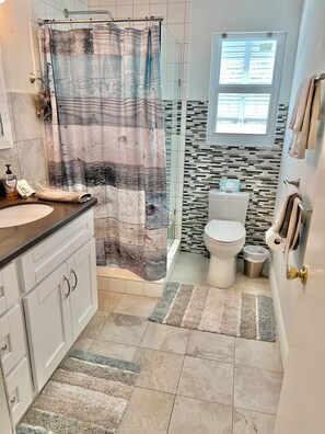Shower, hair dryer, soap, toilet paper