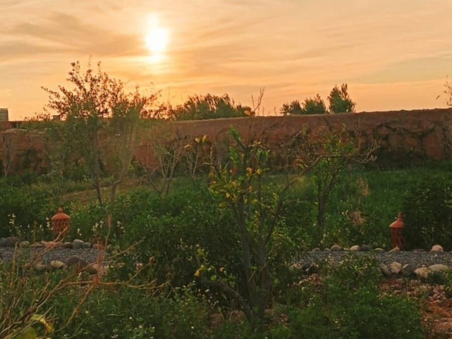 Un coucher de soleil sur un paysage naturel, avec un ciel dégagé.