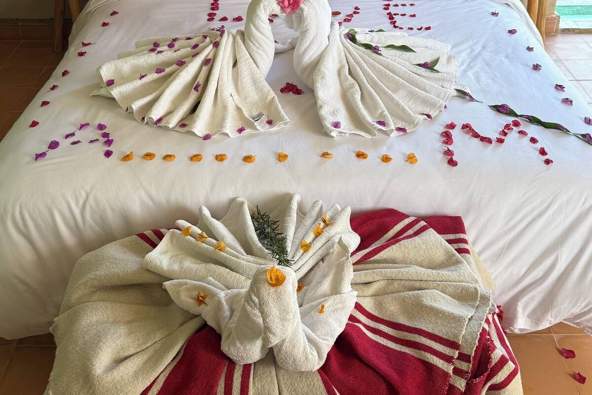 Een net opgemaakt bed met handdoeken gevouwen in de vorm van zwanen, een decoratieve bloem en rozenblaadjes verspreid over het bed.