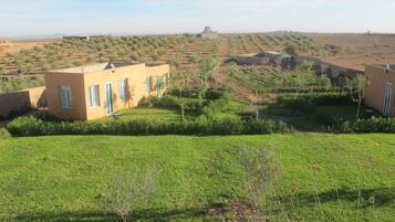 Family Bungalow, Terrace, Garden View | View from room