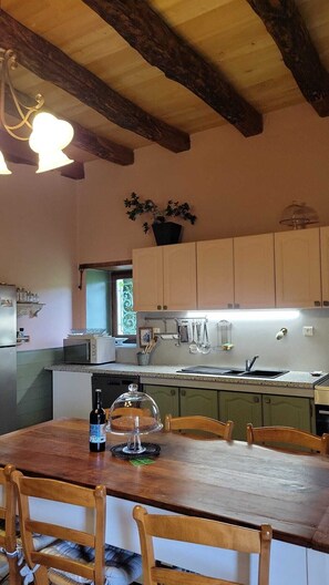 Fridge, microwave, oven, dishwasher - Renovated farmhouse with swimming pool and 3ha garden (Limeuil)