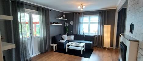 TV, fireplace, books, stereo