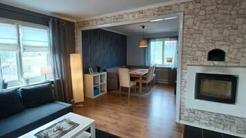 TV, fireplace, books, stereo