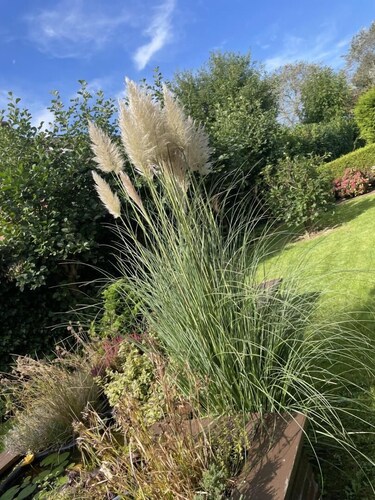 GREAT HOUSE IN A FANTASTIC LOCATION