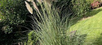 GREAT HOUSE IN A FANTASTIC LOCATION