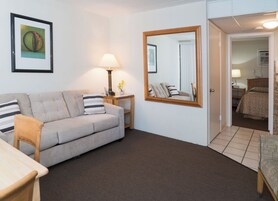 套房, 1 间卧室 | 起居区 | 电视